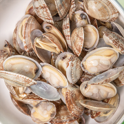 杂色蛤为什么杂色蛤肉质细嫩,味道鲜美？